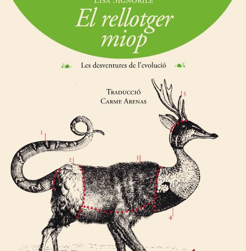 coberta rellotger