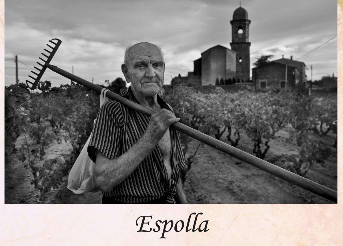 Hortolà de l'Empordà