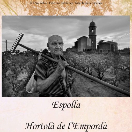 Hortolà de l'Empordà