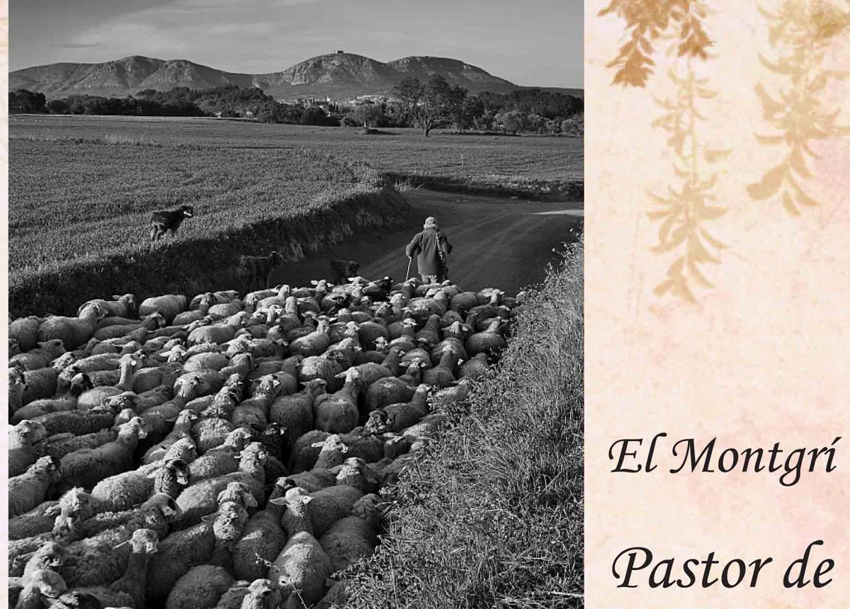 Pastor de l'Empordà