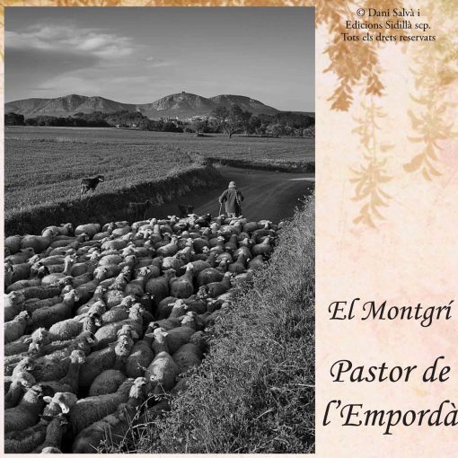 Pastor de l'Empordà