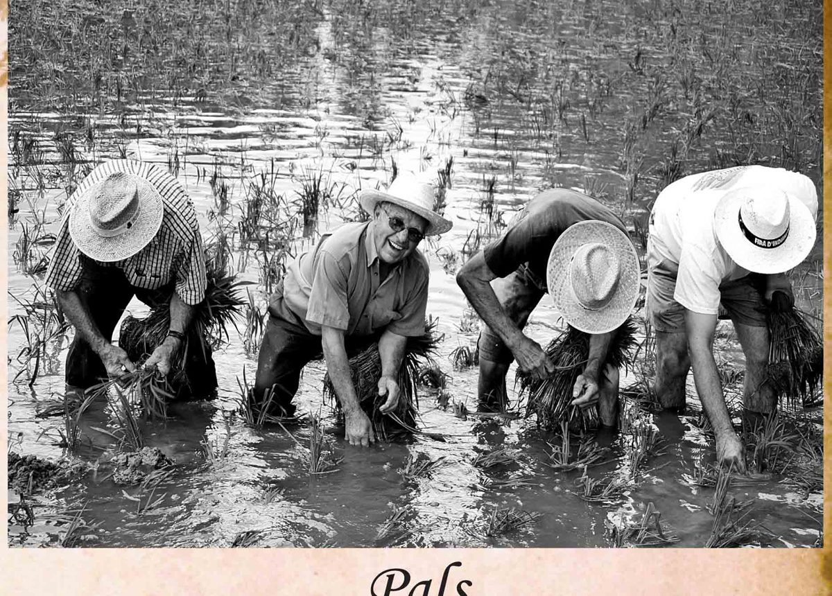 L'arròs de l'Empordà