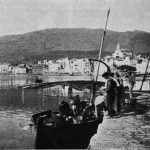 IMGP7491
