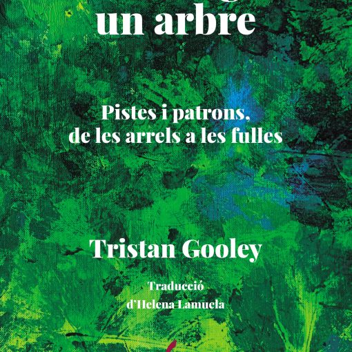 Com llegir un arbre