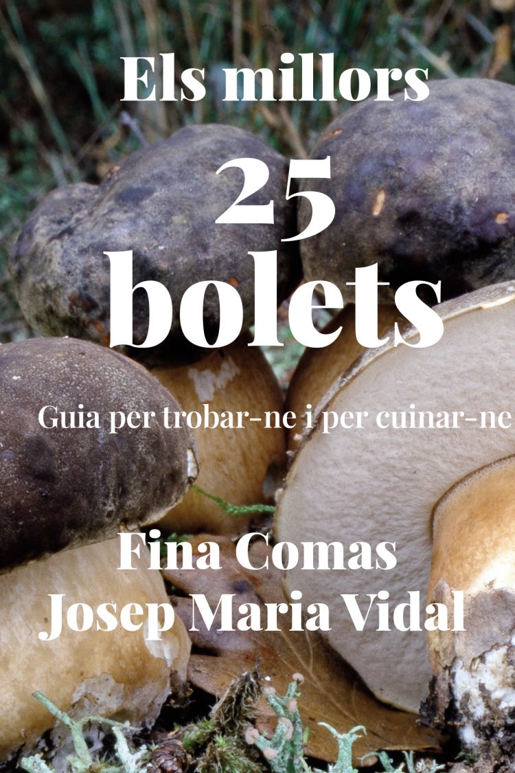 Els millors 25 bolets