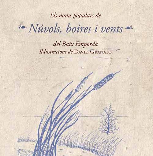 Els noms populars de núvols, boires i vents
